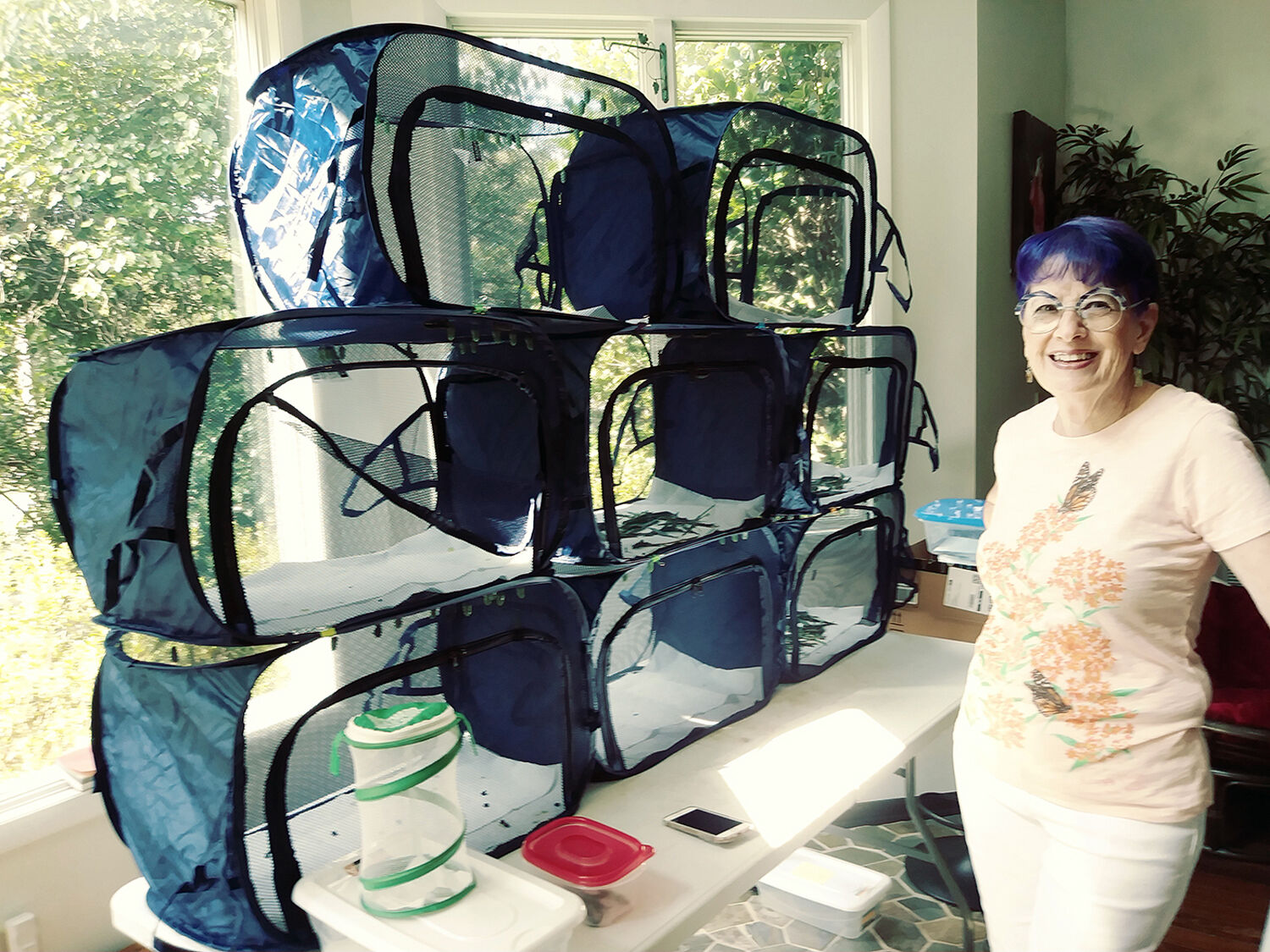 Monarch-megel and butterfly condos.jpg